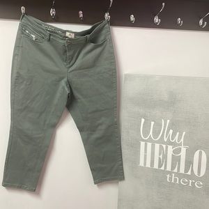 Ladies Plus sized Petite green pants (20P)